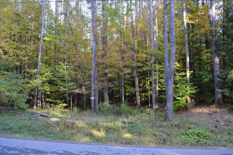 L8.28 Hendricks Road, Bolton, NY, photo 3