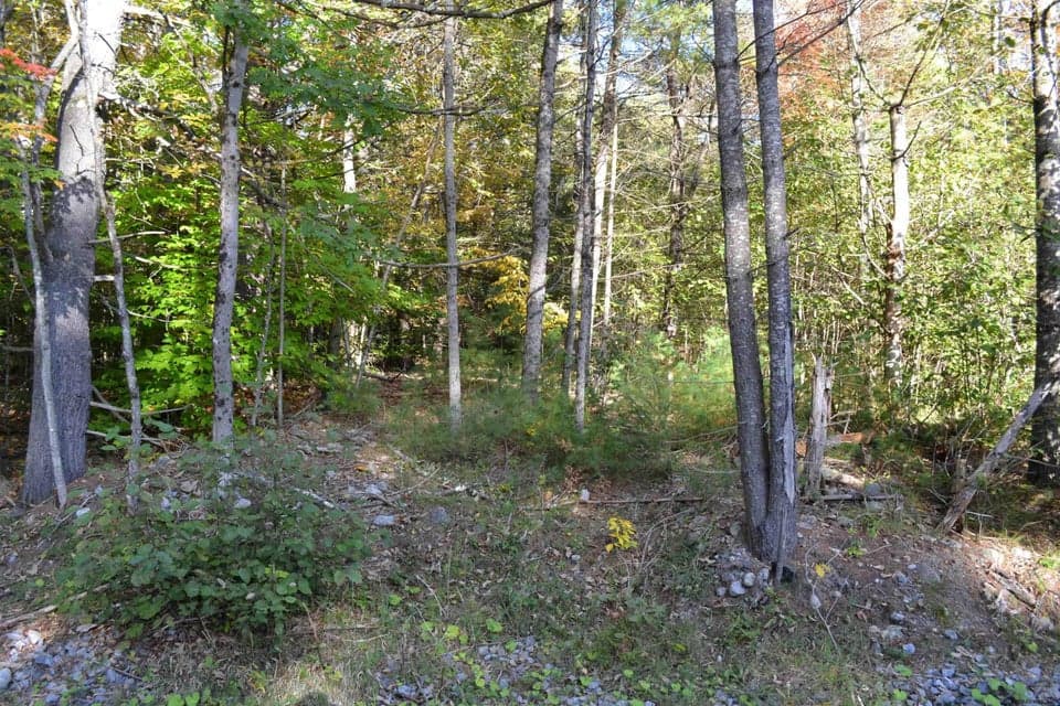 L828 HENDRICKS Road, Bolton, NY, photo 5