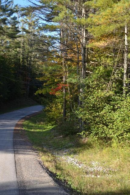 L828 HENDRICKS Road, Bolton, NY, photo 4