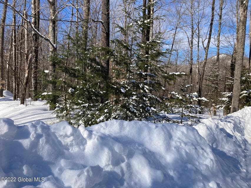 L4618114 Ruby Mountain View Drive, Johnsburg, NY, photo 1