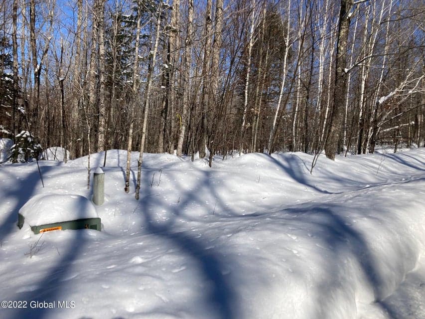 L4618114 Ruby Mountain View Drive, Johnsburg, NY, photo 2