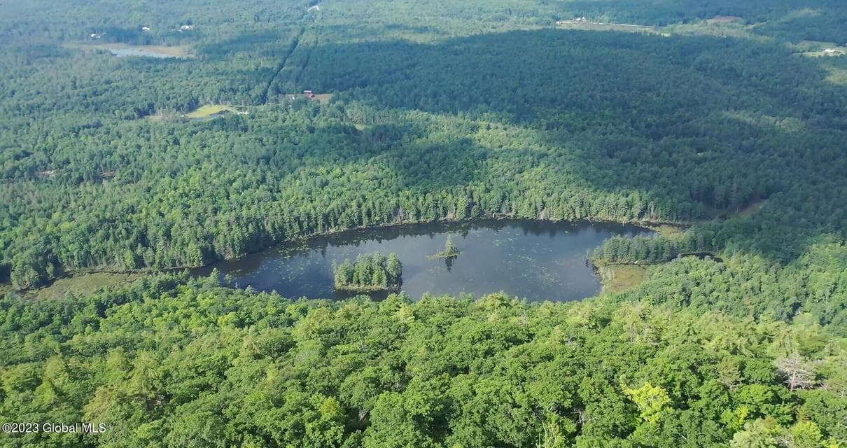 53 Mountain Path, Johnsburg, NY, photo 1
