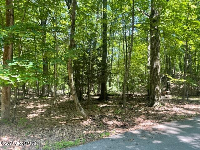 L4.1 West Road, Brunswick, NY, photo 1