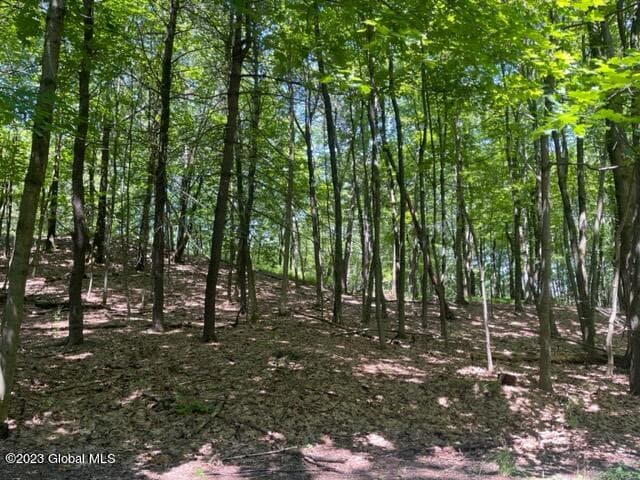 L4.1 West Road, Brunswick, NY, photo 3