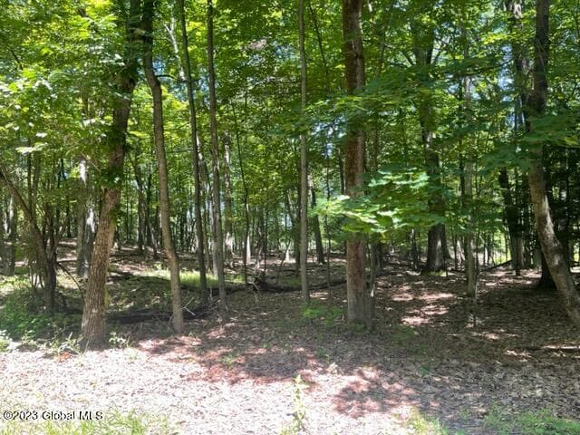 L4.1 West Road, Brunswick, NY, photo 4