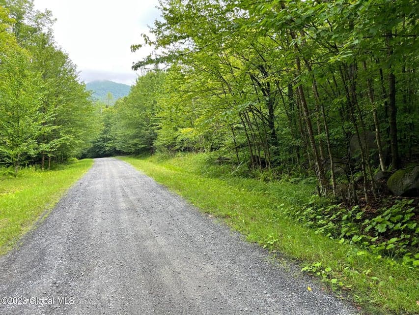 L93 Ruby Mountain View Drive, Johnsburg, NY, photo 1