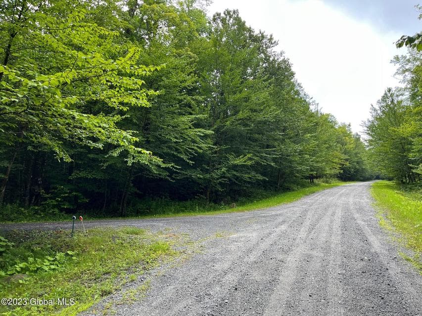 L93 Ruby Mountain View Drive, Johnsburg, NY, photo 2