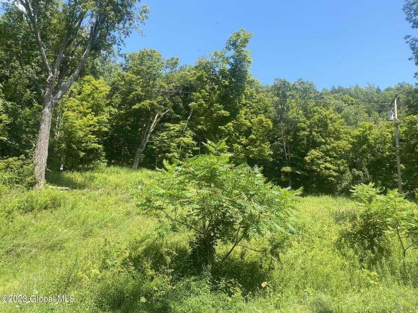 205 COUNTY ROUTE 3, photo 3
