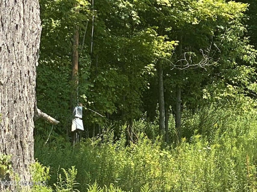 205 COUNTY ROUTE 3, photo 5