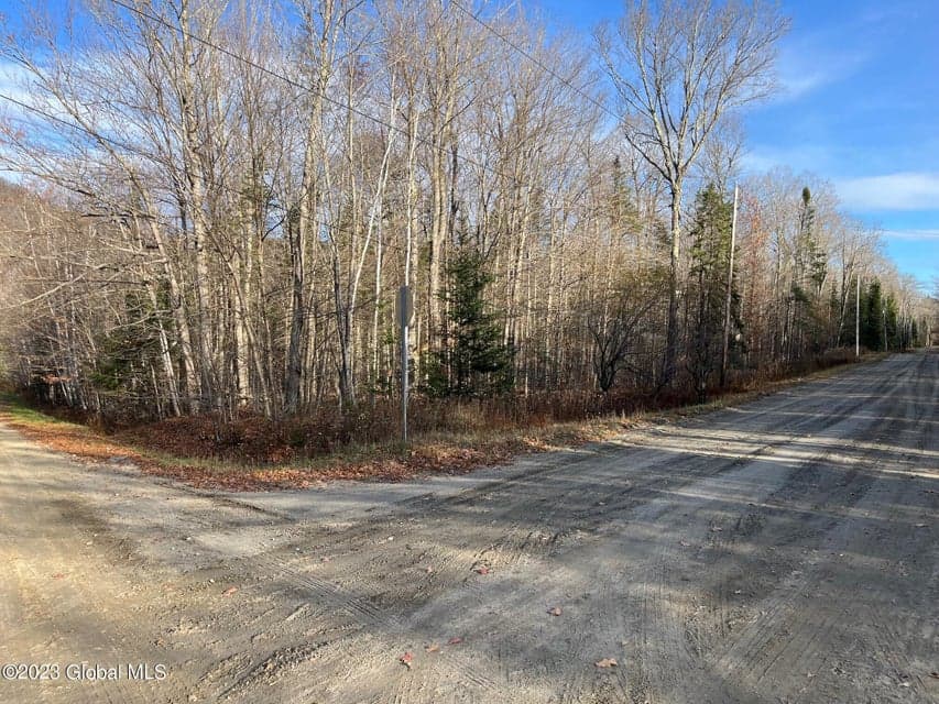 L46131 Lakeview Lane, Johnsburg, NY, photo 3