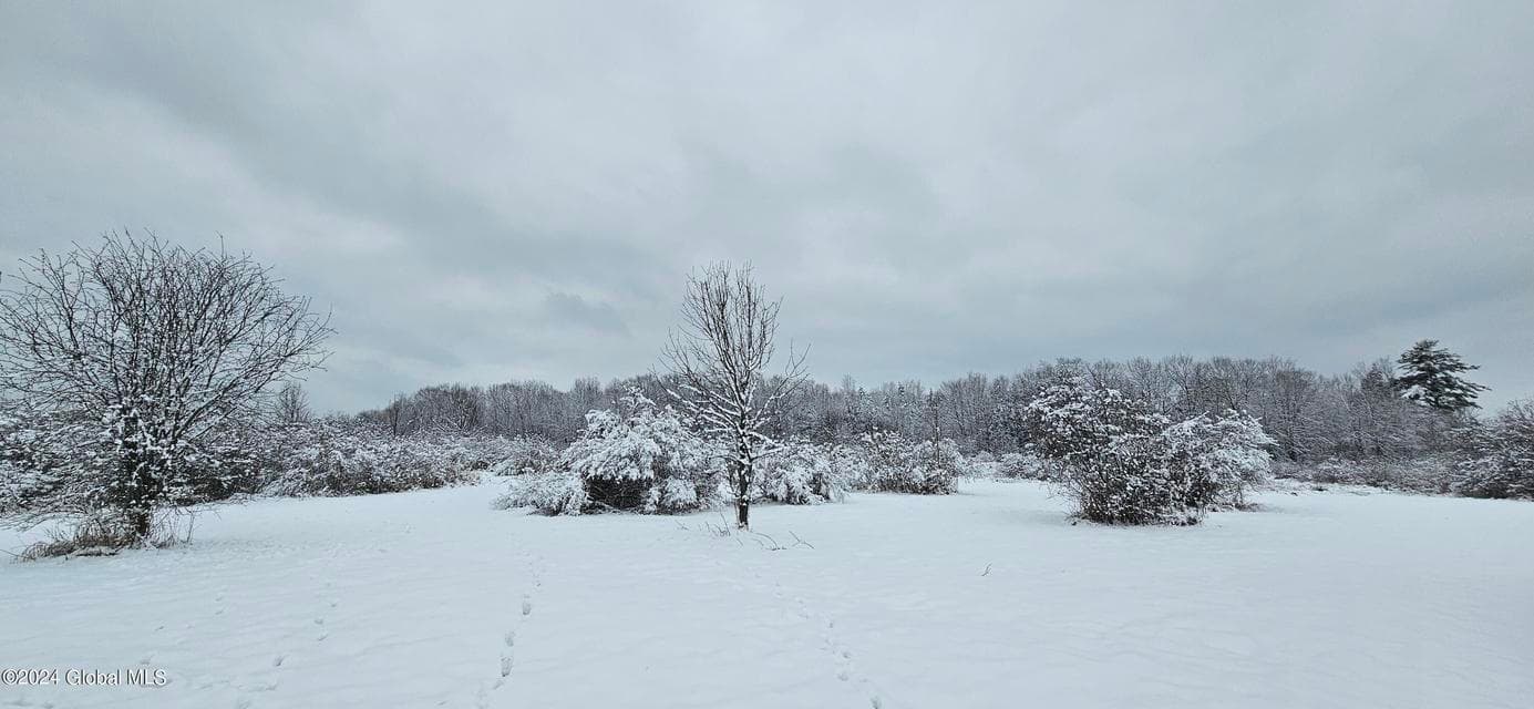 NY, photo 5