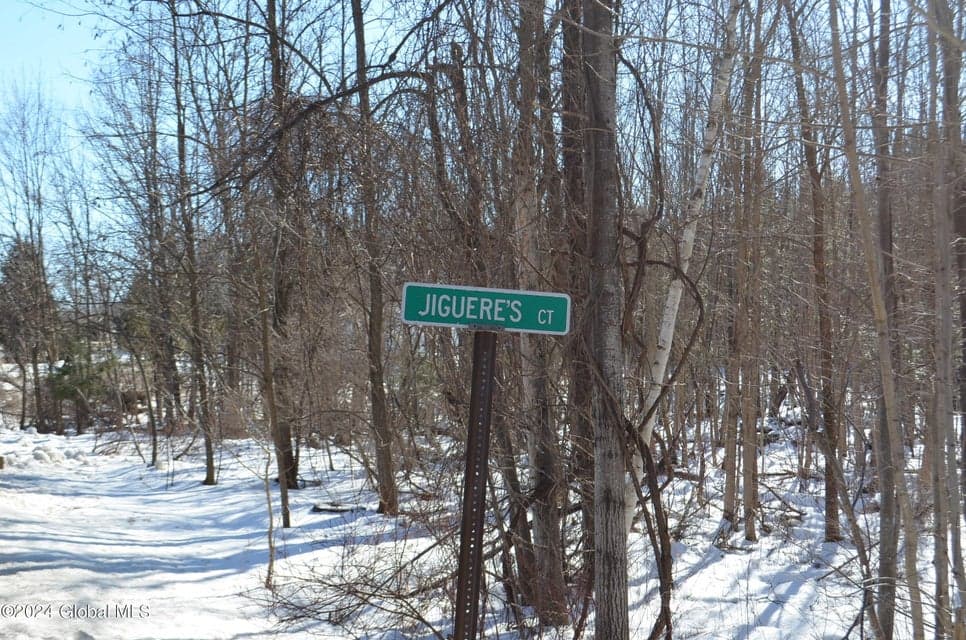 L36.14 Jiguere Court, Chazy, NY, photo 1