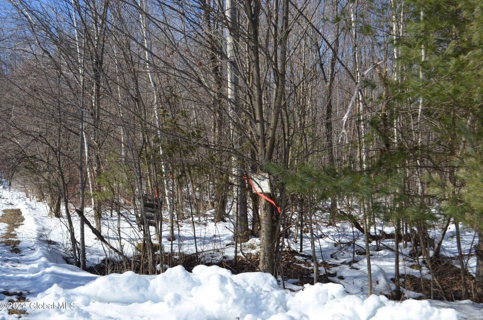 L36.14 Jiguere Court, Chazy, NY, photo 2
