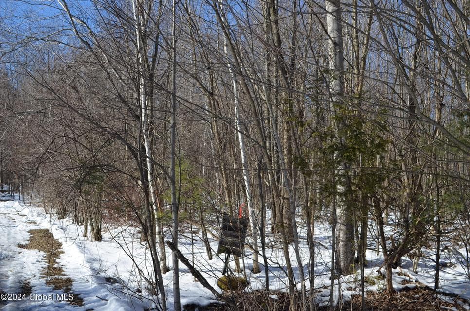 L36.14 Jiguere Court, Chazy, NY, photo 3