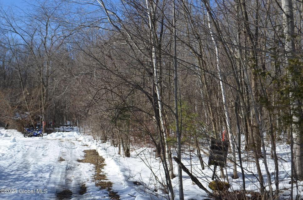 L36.14 Jiguere Court, Chazy, NY, photo 4