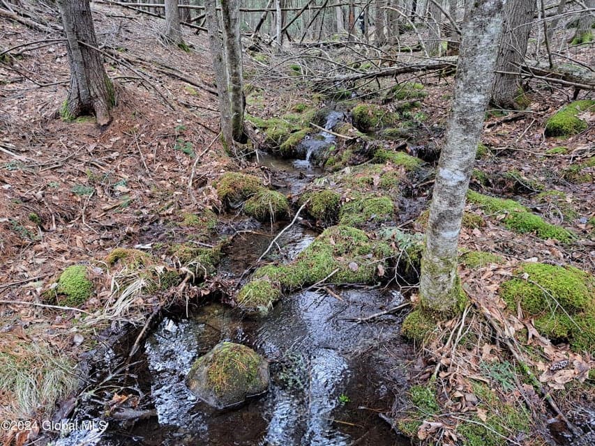L21.1 Golf Course Road, Warrensburg, NY, photo 3