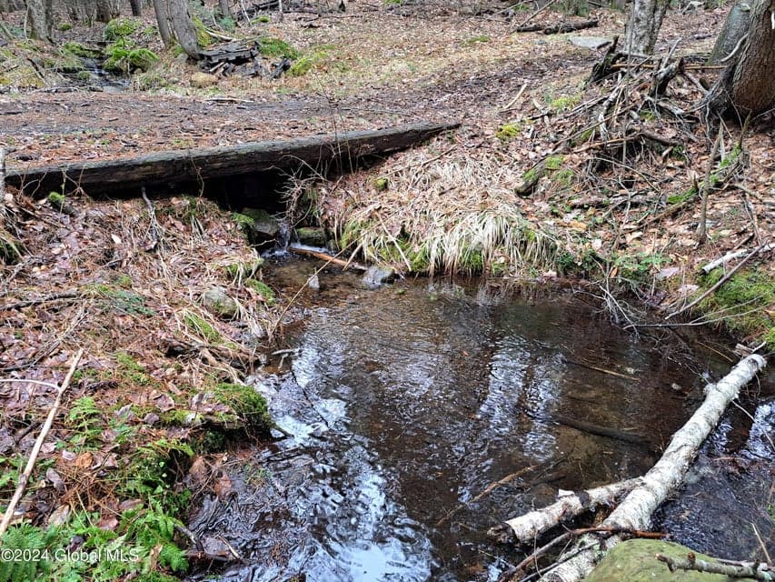 L21.1 Golf Course Road, Warrensburg, NY, photo 4