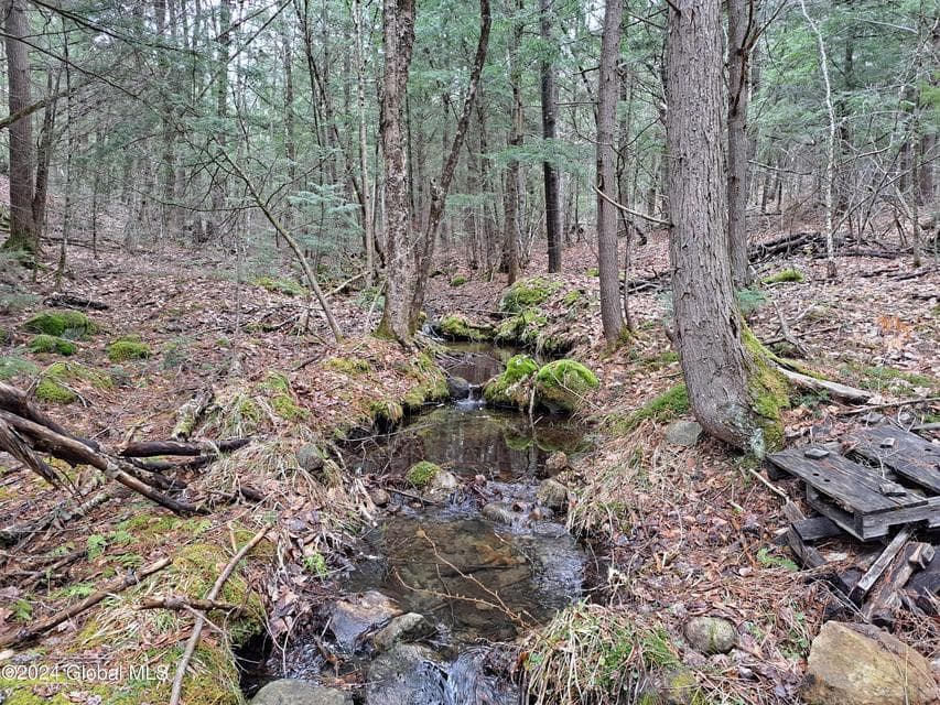 L21.1 Golf Course Road, Warrensburg, NY, photo 5
