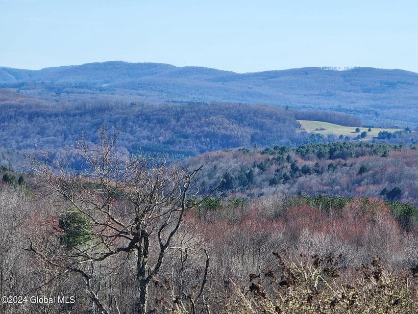 L1 Lang Road, Summit, NY, photo 1