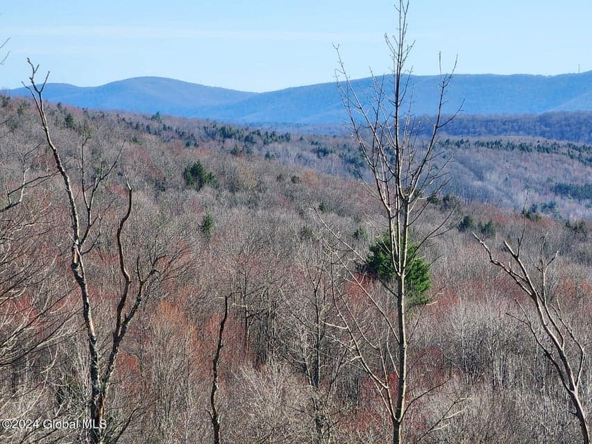 L1 Lang Road, Summit, NY, photo 2