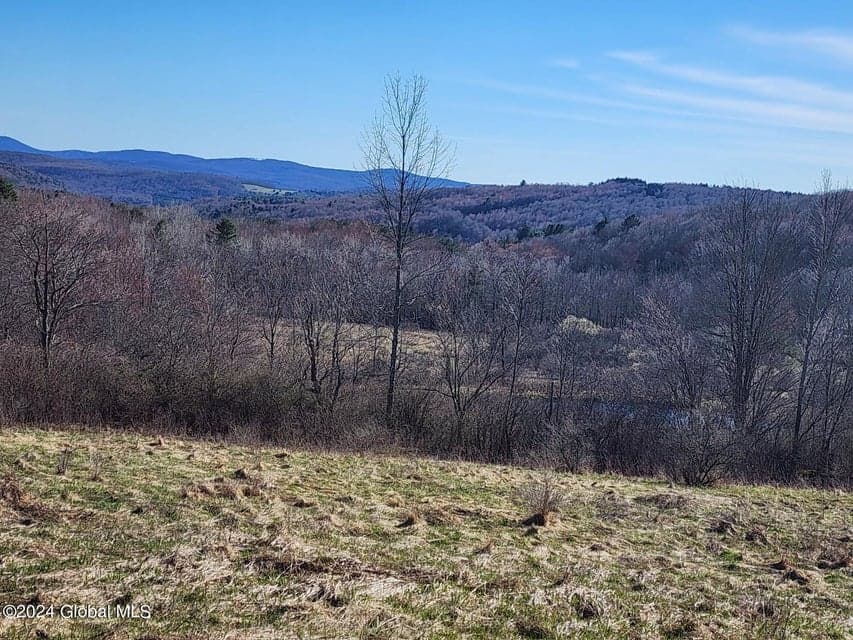 L1 Lang Road, Summit, NY, photo 3