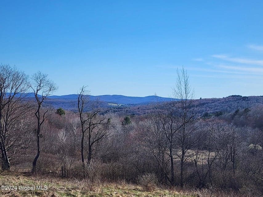 L1 Lang Road, Summit, NY, photo 5