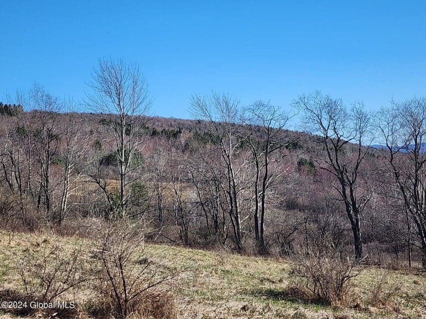L1 Lang Road, Summit, NY, photo 4
