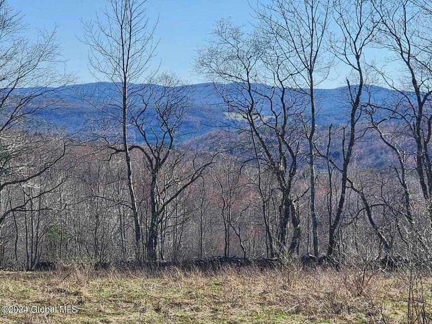 L2 Lang Road, Summit, NY, photo 5