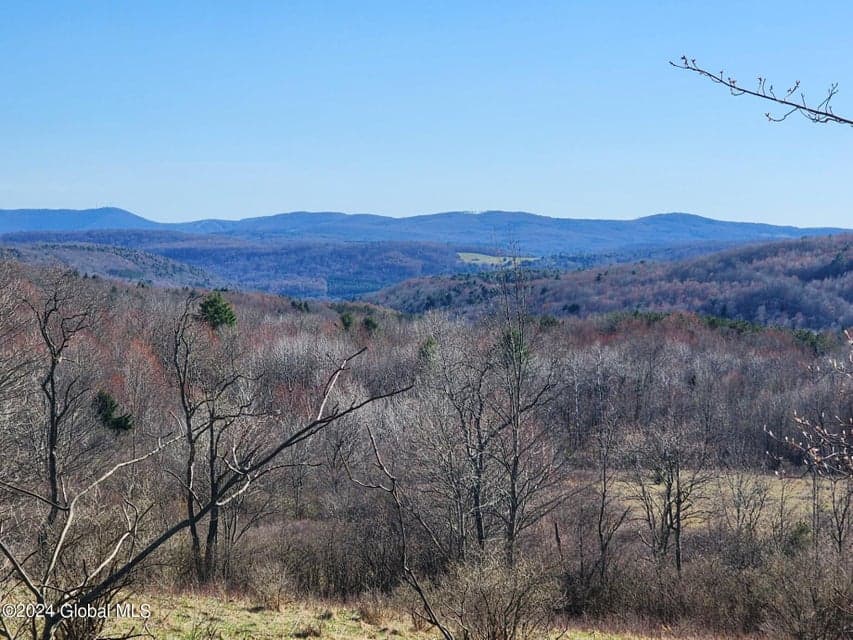 L2 Lang Road, Summit, NY, photo 3