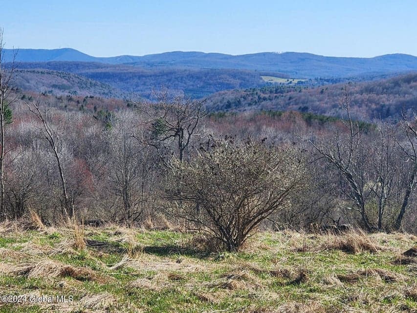 L2 Lang Road, Summit, NY, photo 2