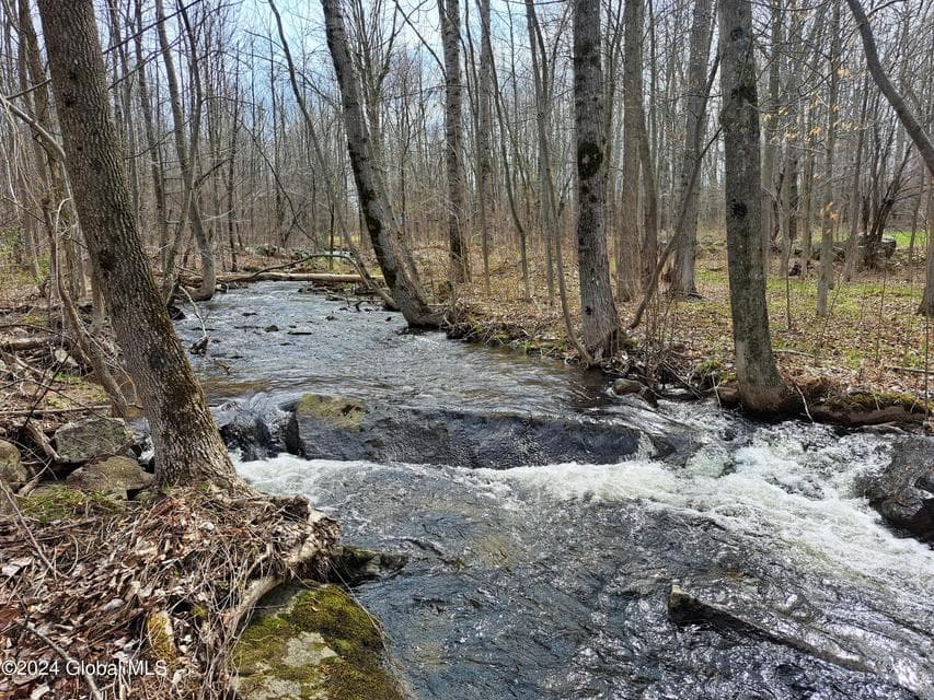 L 11.5 Military Turnpike, Altona, NY, photo 1