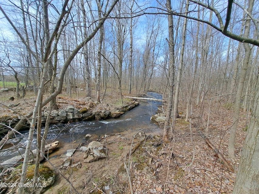 L 11.5 Military Turnpike, Altona, NY, photo 2