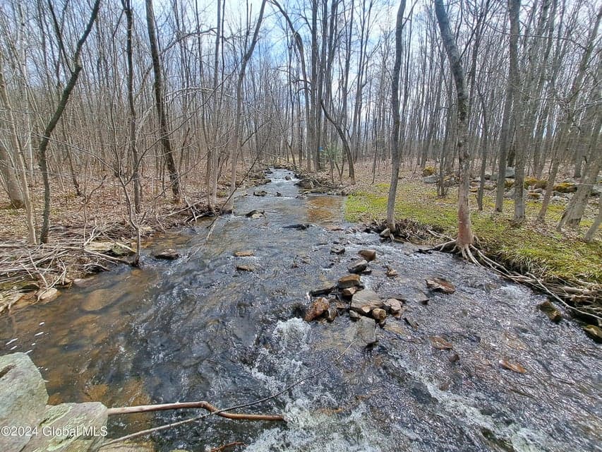 L 11.5 Military Turnpike, Altona, NY, photo 3