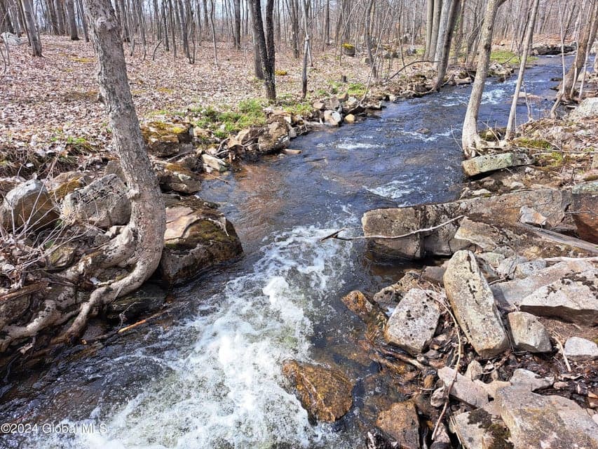 L 11.5 Military Turnpike, Altona, NY, photo 4