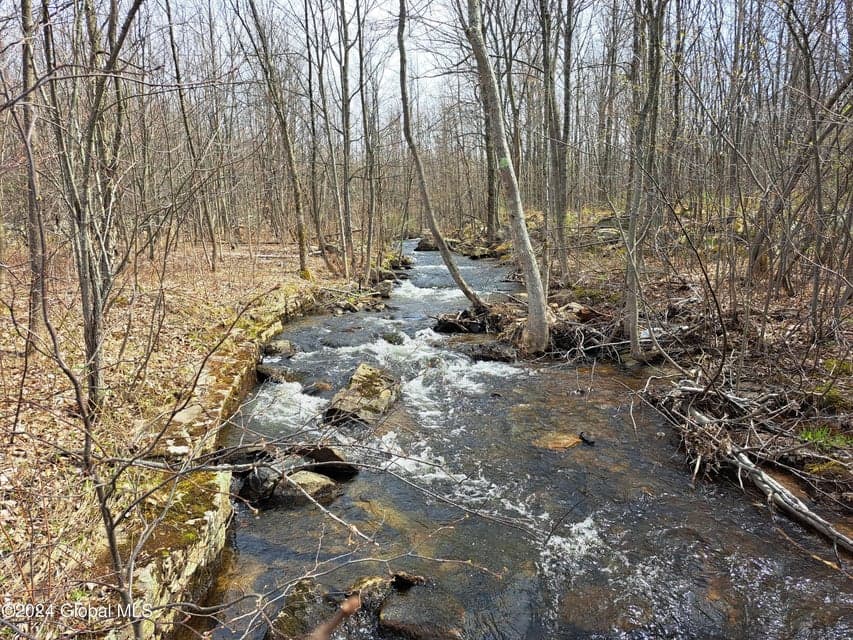 L 11.5 Military Turnpike, Altona, NY, photo 5