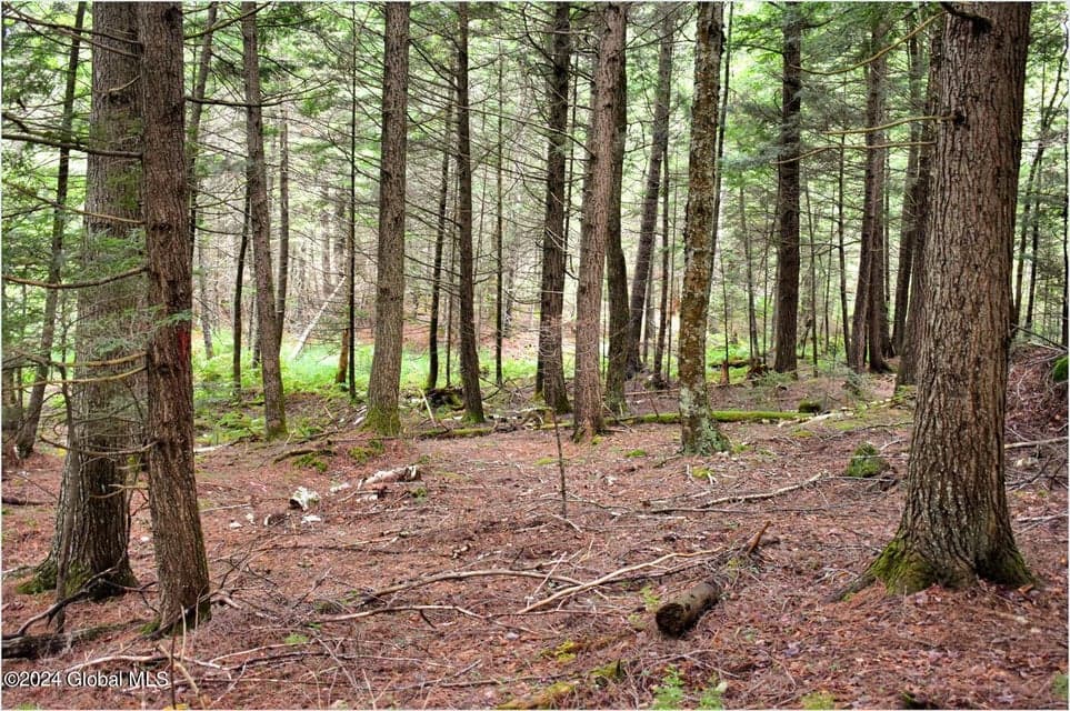 3-4 Adirondack Heights Road, Chester, NY, photo 5