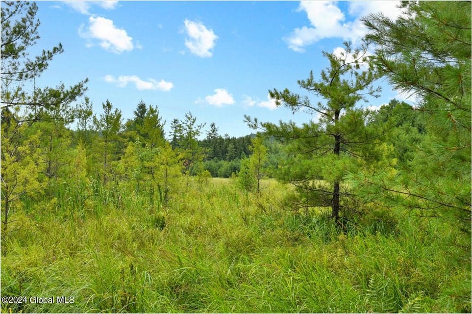 3-4 Adirondack Heights Road, Chester, NY, photo 3