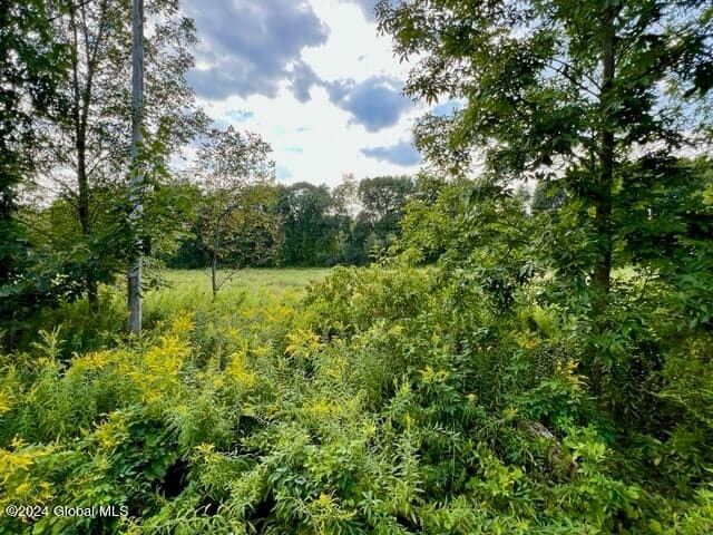 1435 West River Road, Northumberland, NY, photo 3