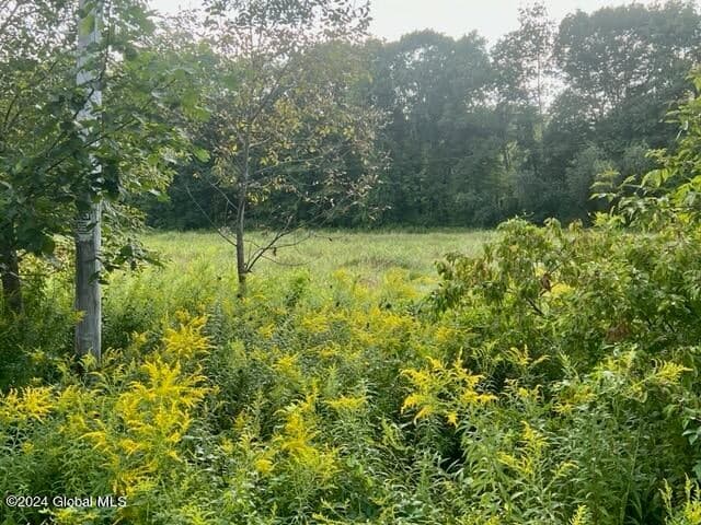 1435 West River Road, Northumberland, NY, photo 4