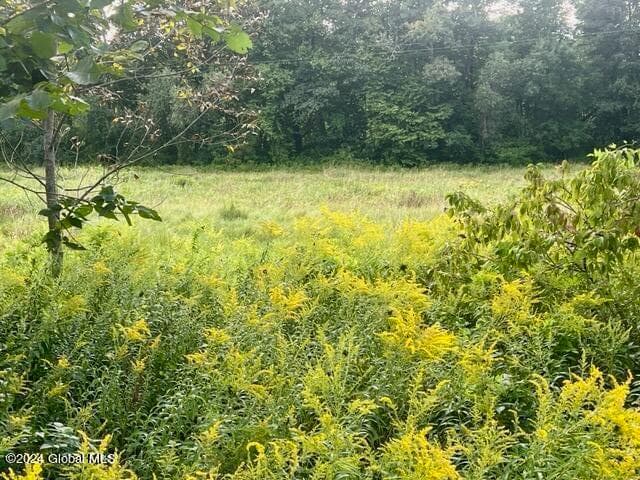 1435 West River Road, Northumberland, NY, photo 2