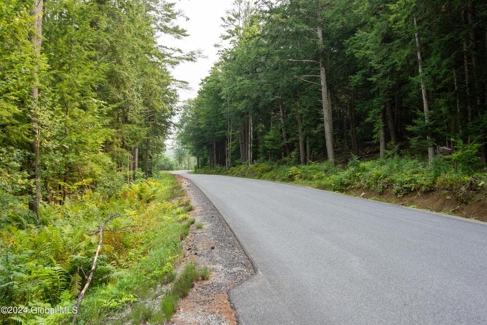 L122 Johnson Road, Horicon, NY, photo 3
