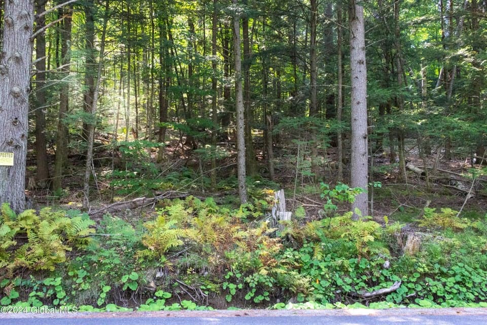 L122 Johnson Road, Horicon, NY, photo 5