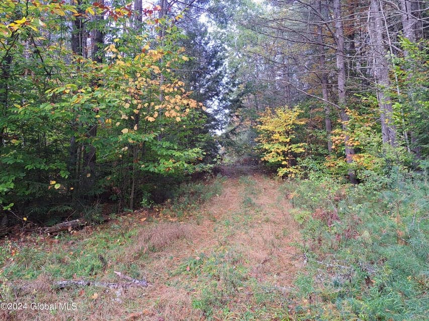 L9 Atateka Road, Chester, NY 12817, photo 4