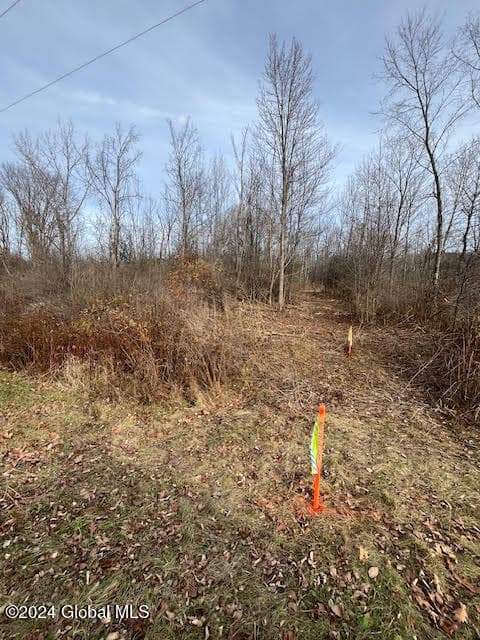 453 Gage Road, Delanson, NY, photo 2