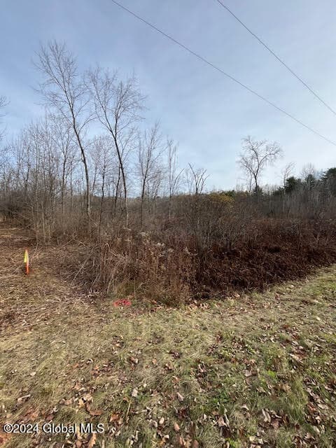 453 Gage Road, Delanson, NY, photo 3