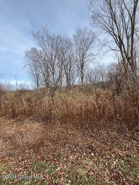 415 Gage Road, Duanesburg, NY, photo 1