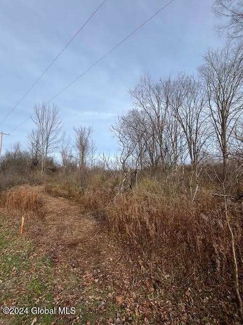 415 Gage Road, Duanesburg, NY, photo 2