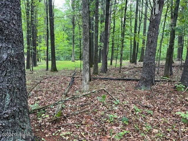 L2.2 Canniff Road, Cairo, NY, photo 3