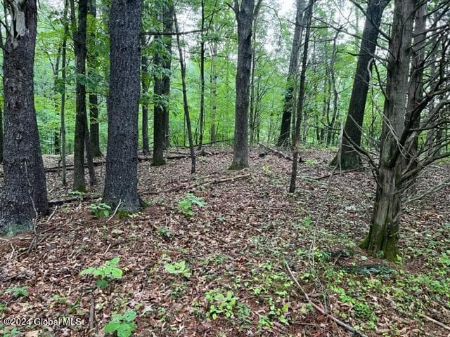 L2.2 Canniff Road, Cairo, NY, photo 4