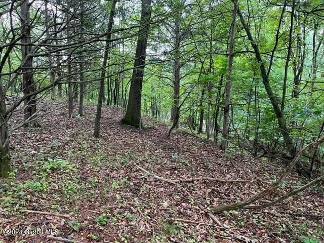 L2.2 Canniff Road, Cairo, NY, photo 5